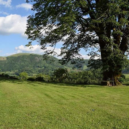 Gite 4 Personnes Dans Le Cantal Animaux Bienvenus Lascelle Exterior foto